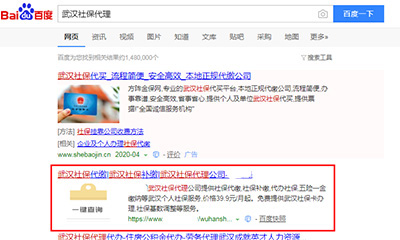 彬州网站SEO优化
